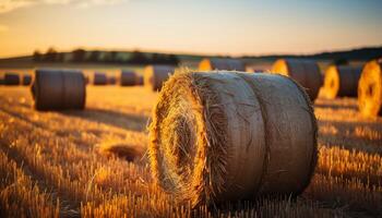 ai generado puesta de sol terminado un rural granja, dorado trigo cosechado en prados generado por ai foto