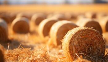 AI generated Rural farm scene hay bales stacked, meadow golden, nature harvest generated by AI photo