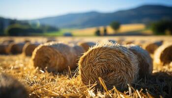 AI generated Rural farm landscape haystacks, meadows, and golden wheat fields generated by AI photo