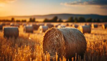 AI generated Sunset over a golden meadow, nature beauty in agriculture growth generated by AI photo