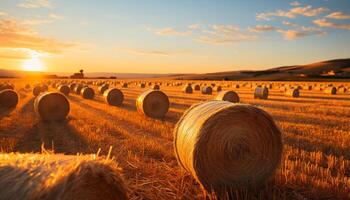 ai generado puesta de sol terminado un rural granja, prado dorado con cosechado trigo generado por ai foto