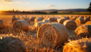 AI generated Rural scene sunset, meadow, haystack, rolled up, wheat, autumn generated by AI photo