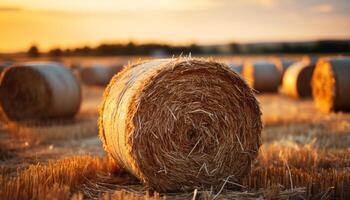 ai generado puesta de sol terminado un rural granja, pajar arrollado arriba en prados generado por ai foto