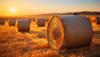 AI generated Sunset over a rural farm, golden hay bales in a meadow generated by AI photo