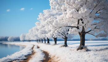 AI generated Winter landscape snow covered tree in tranquil forest under clear sky generated by AI photo