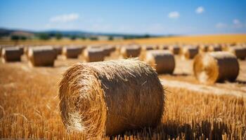 AI generated Rural scene yellow wheat meadow, rolled up haystacks, blue sky generated by AI photo