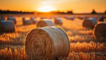 ai generado puesta de sol terminado un rural granja, prado dorado con cosechado heno generado por ai foto