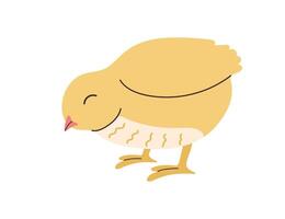 Hand drawn cute standing small yellow Chick. Kawaii Chicken bird nestling icon or print. Isolated on background. Flat vector spring Easter design in colored Doodle style.