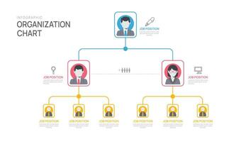 Infographic template for organization chart with business avatar icons. vector infographic for business.