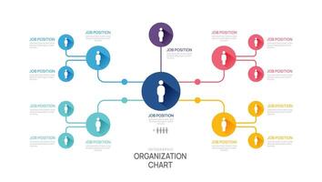 Infographic template for organization chart with business avatar icons. vector infographic for business.
