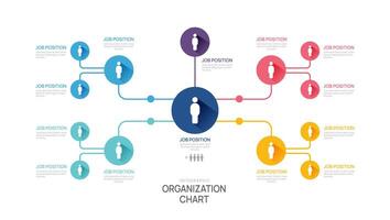 Infographic template for organization chart with business avatar icons. vector infographic for business.