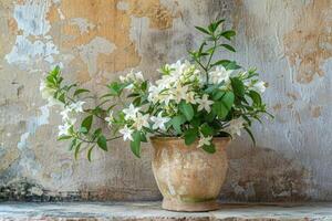 ai generado antiguo cerámico maceta con Fresco jazmín flores foto