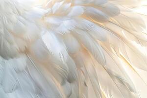 AI generated Soft White Feather Texture photo