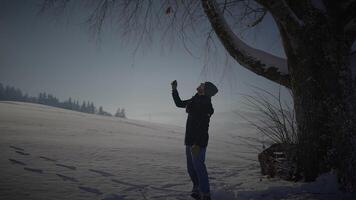 masculino pessoa caminhando dentro profundo neve olhando às solteiro árvore video