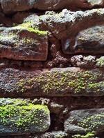 Background photo of a stone wall and moss on it