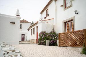 Empty street along beautiful white two-storey houses in town photo