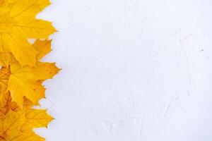 Autumn leaves frame on white background top view Fall Border yellow and Orange Leaves vintage structure table Copy space for text. photo