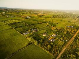 Houses in a rural village by Westport tow near the Irish Atlantic Coast.Greenery and real estate in Ireland concept. Agriculture and irish landscapes photo