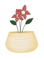 Beautiful House Plants png