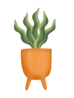 House Plant Clip Art Illustration png