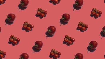 Pattern with many tomatos animated on red background. Tomatos move in different directions. 4K video