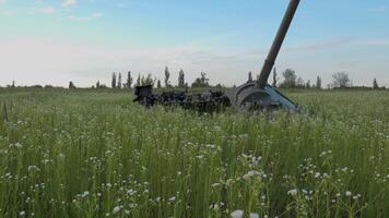 de stoffelijk overschot van een verbrand tank in een veld- in de buurt kiev. gras en voorjaar bloemen toenemen in de omgeving van de overblijfselen van de tank. de concept van beginnend een nieuw leven na de einde van de oorlog. video