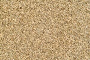mar playa arena superficie textura foto