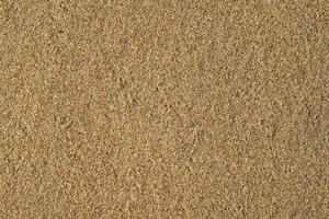 Sea beach sand surface texture photo