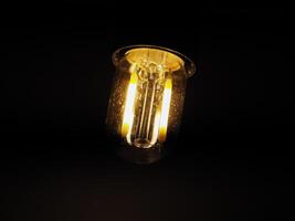 LED filament light bulb photo