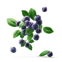 AI generated Ripe Blueberries falling in air with Blueberry leaves, Healthy organic berry natural ingredients concept, AI generated, PNG transparency with shadow