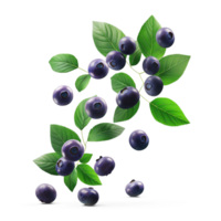 AI generated Ripe Blueberries falling in air with Blueberry leaves, Healthy organic berry natural ingredients concept, AI generated, PNG transparency with shadow