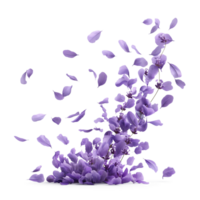 AI generated Petals lavender falling in the air, Beautiful flower in nature concept, AI generated, PNG transparent with shadow