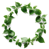 AI generated Circle frame by green leaves, Christmas wreath frame adorned with leaf, AI generated, PNG transparent with shadow