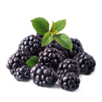 AI generated Blackberries pile with Blackberry leaves on the floor, Healthy organic berry natural ingredients concept, AI generated, PNG transparency with shadow