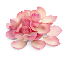 AI generated Petals lotus pile on the floor, Beautiful flower in nature concept, AI generated, PNG transparent with shadow