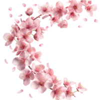 AI generated Pink cherry blossom with cherry petal falling in the air, Beautiful japanese sakura flower in nature concept, AI generated, PNG transparent