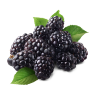 AI generated Blackberries with Blackberry leaves on the floor, Healthy organic berry natural ingredients concept, AI generated, PNG transparency with shadow