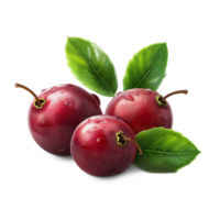 AI generated Cranberries pile with Cranberry leaves on the floor, Healthy organic berry natural ingredients concept, AI generated, PNG transparency with shadow