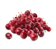 AI generated Cranberries pile on the floor, Healthy organic berry natural ingredients concept, AI generated, PNG transparency with shadow