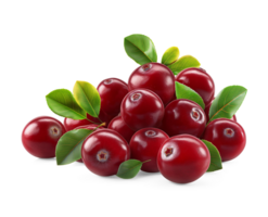 AI generated Cranberries pile with Cranberry leaves on the floor, Healthy organic berry natural ingredients concept, AI generated, PNG transparency with shadow