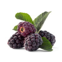 AI generated Fresh Mulberries pile on the floor, Healthy organic berry natural ingredients concept, AI generated, PNG transparency with shadow