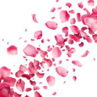 AI generated Flying whirl pink Rose Petals in the air, Beautiful flower in nature concept, AI generated, PNG transparent