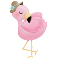 flamingo bär en hatt png