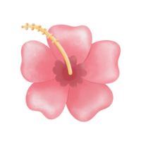 pink flower aloha png