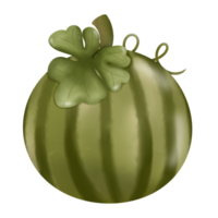 The watermelon has not been cut yet png