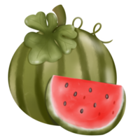 sweet red watermelon png