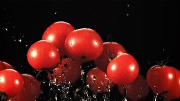 Tomates con salpicaduras de agua tomar apagado y girar en vuelo. en un negro antecedentes. filmado es lento movimiento 1000 fps. video