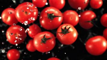 frisch Tomaten mit Tropfen von Wasser fliegen oben und fallen. auf ein schwarz Hintergrund. oben Sicht. gefilmt ist schleppend Bewegung 1000 fps. video