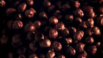 Hazelnuts rise up and fall down. Top view. On a black background. Filmed is slow motion 1000 fps. video