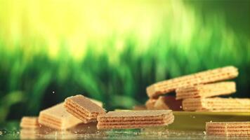 The waffle falls on the table and splits into two halves. Against the background of grass. Filmed is slow motion 1000 fps. video